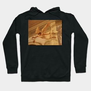 Angel- Church in Tucson Hoodie